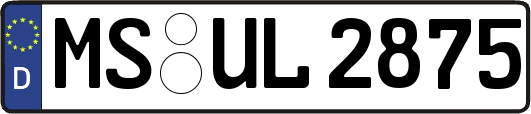 MS-UL2875