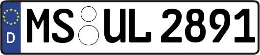 MS-UL2891