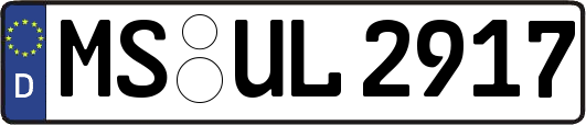 MS-UL2917