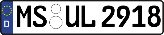 MS-UL2918