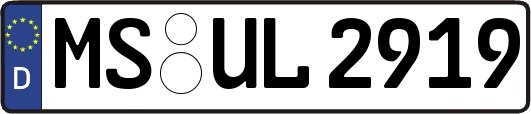 MS-UL2919