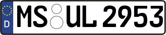MS-UL2953