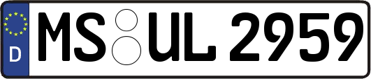 MS-UL2959