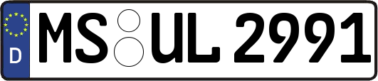MS-UL2991