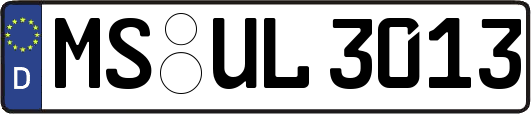 MS-UL3013
