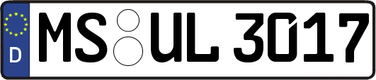 MS-UL3017