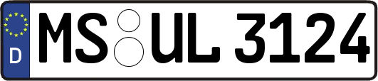 MS-UL3124