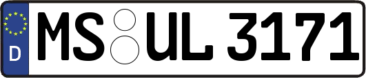 MS-UL3171