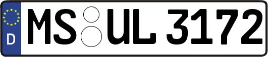 MS-UL3172