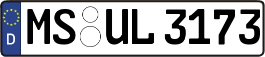 MS-UL3173