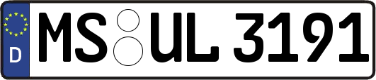MS-UL3191