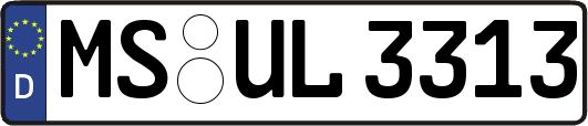 MS-UL3313