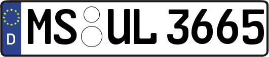 MS-UL3665