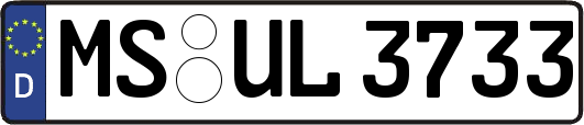 MS-UL3733
