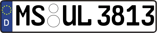 MS-UL3813
