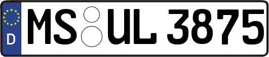 MS-UL3875