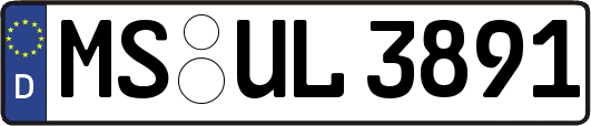 MS-UL3891