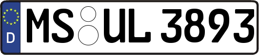 MS-UL3893