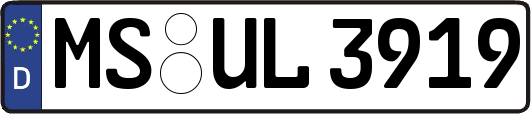 MS-UL3919