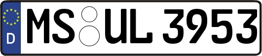 MS-UL3953