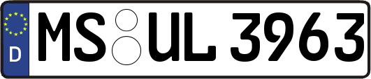 MS-UL3963