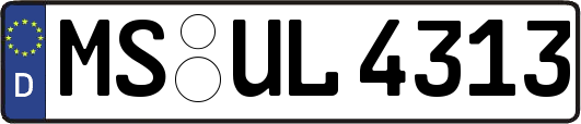 MS-UL4313