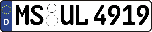 MS-UL4919