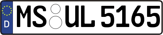 MS-UL5165