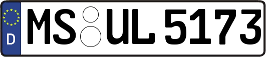 MS-UL5173