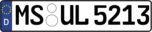 MS-UL5213