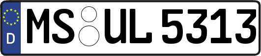 MS-UL5313