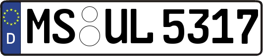 MS-UL5317