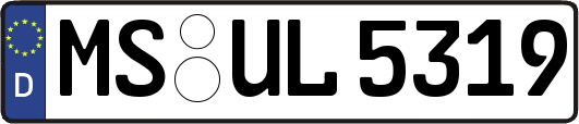 MS-UL5319