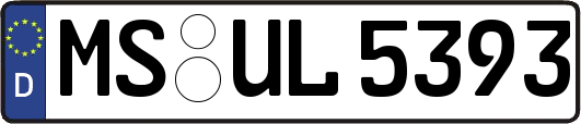 MS-UL5393