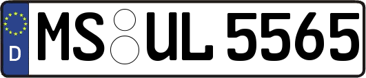 MS-UL5565