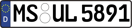 MS-UL5891