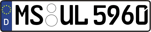 MS-UL5960