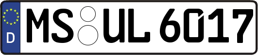 MS-UL6017