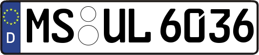 MS-UL6036
