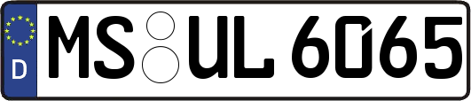 MS-UL6065