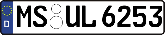 MS-UL6253