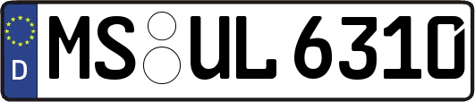 MS-UL6310