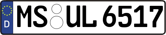 MS-UL6517