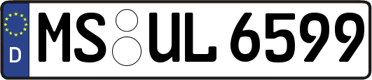 MS-UL6599