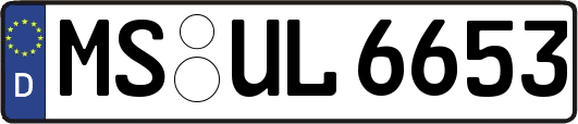 MS-UL6653