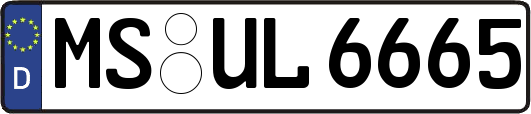 MS-UL6665