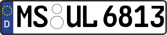 MS-UL6813