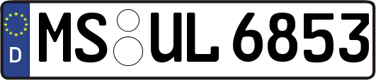 MS-UL6853