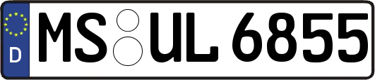 MS-UL6855