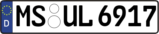 MS-UL6917